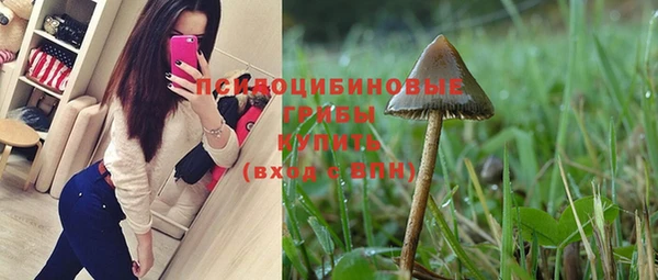 каннабис Белокуриха